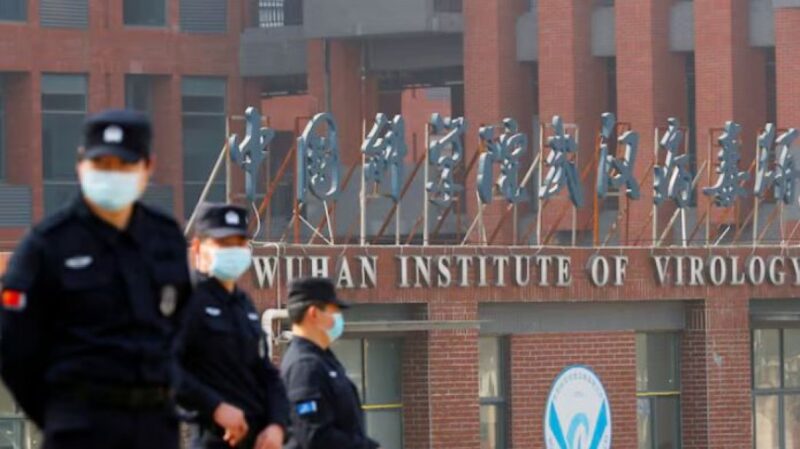 বাদুড়ের দেহে নতুন ধরনের করোনা