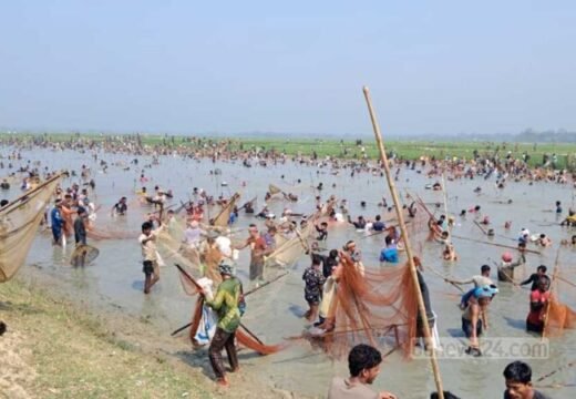 হাওরে ঘোষণা দিয়ে উৎসব করে একের পর এক জলমহাল লুট