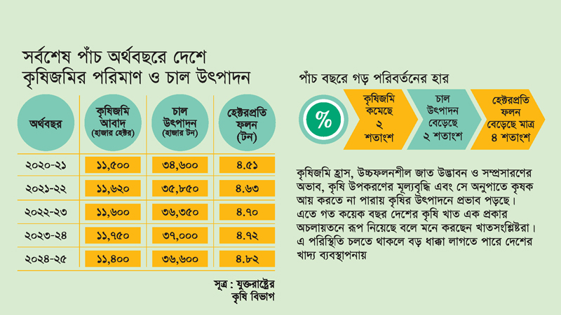 কৃষিজমি কমছে, বাড়ছে না চাল উৎপাদন