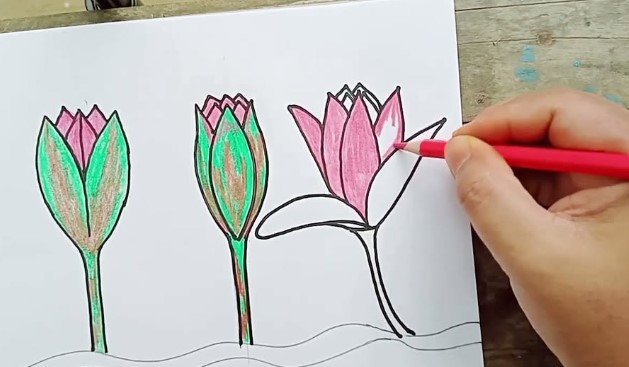 ইসির নতি স্বীকার, প্রতীক তালিকা ‘শাপলা কলি’, কলি নয়, ‘শাপলা’ই চায় এনসিপি