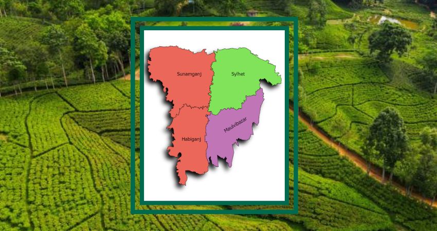 সিলেটে পাঁচ দিনে ১১ লাশ, নেপথ্যে কী কারণ?